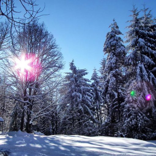 Winterlandschaft rund um Gernsbach in der Nähe der Ferienwohnung